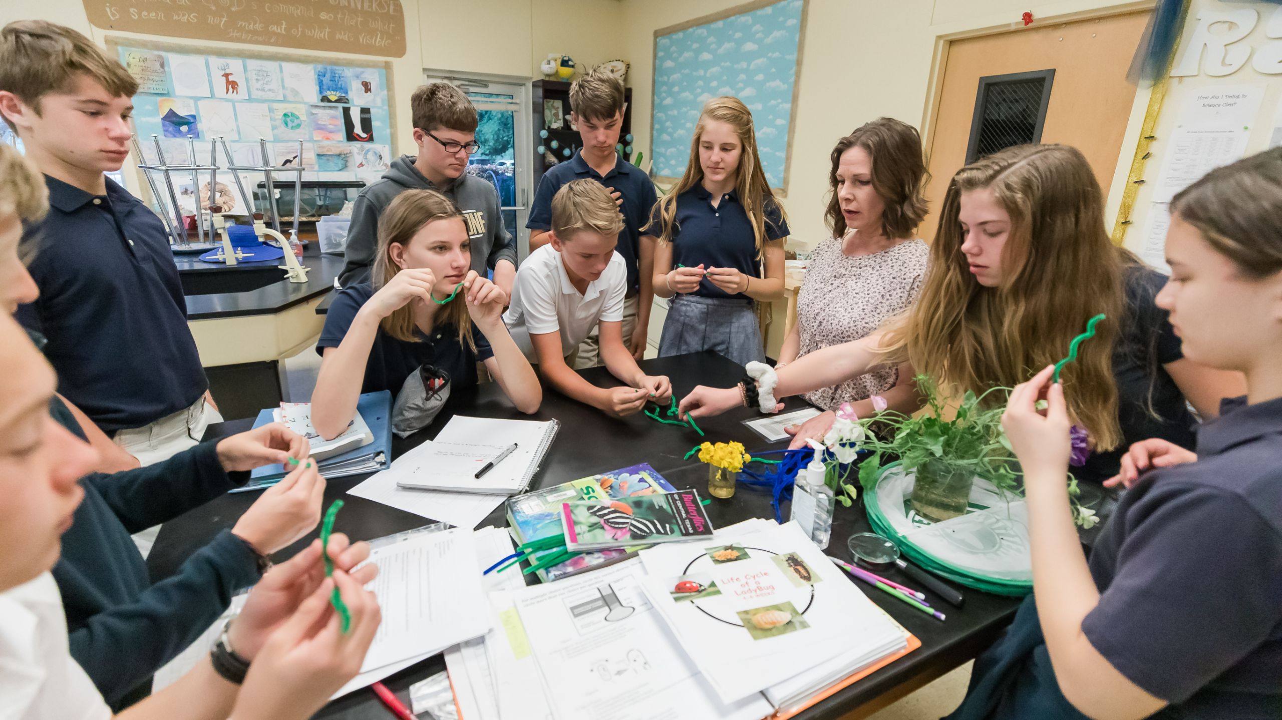 OriginalImage,Original