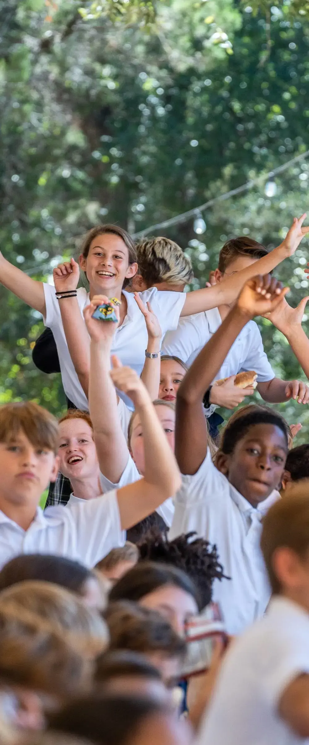 Experience 3 column images