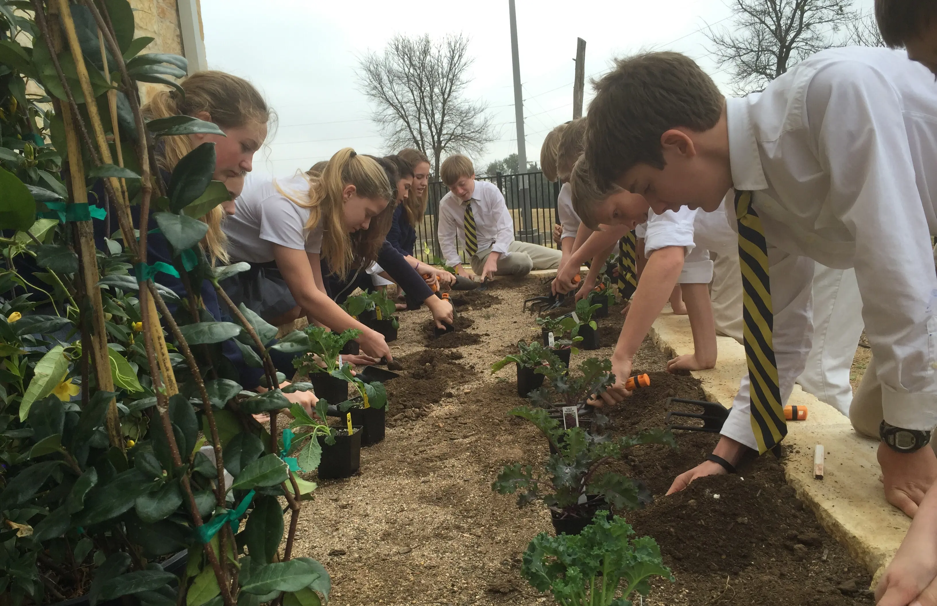  OptimizedImage,,,Optimized