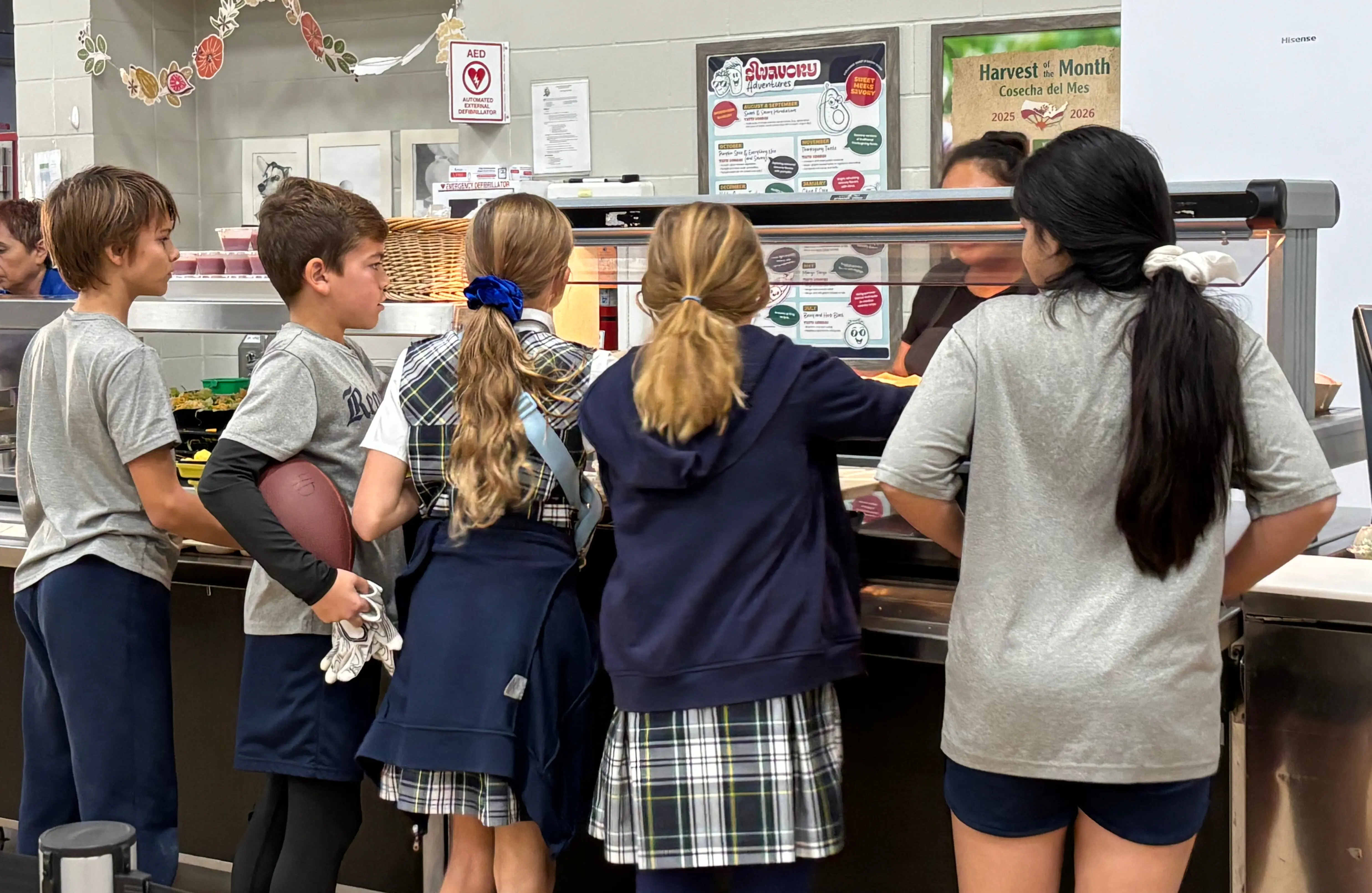  OptimizedImage,,,Optimized