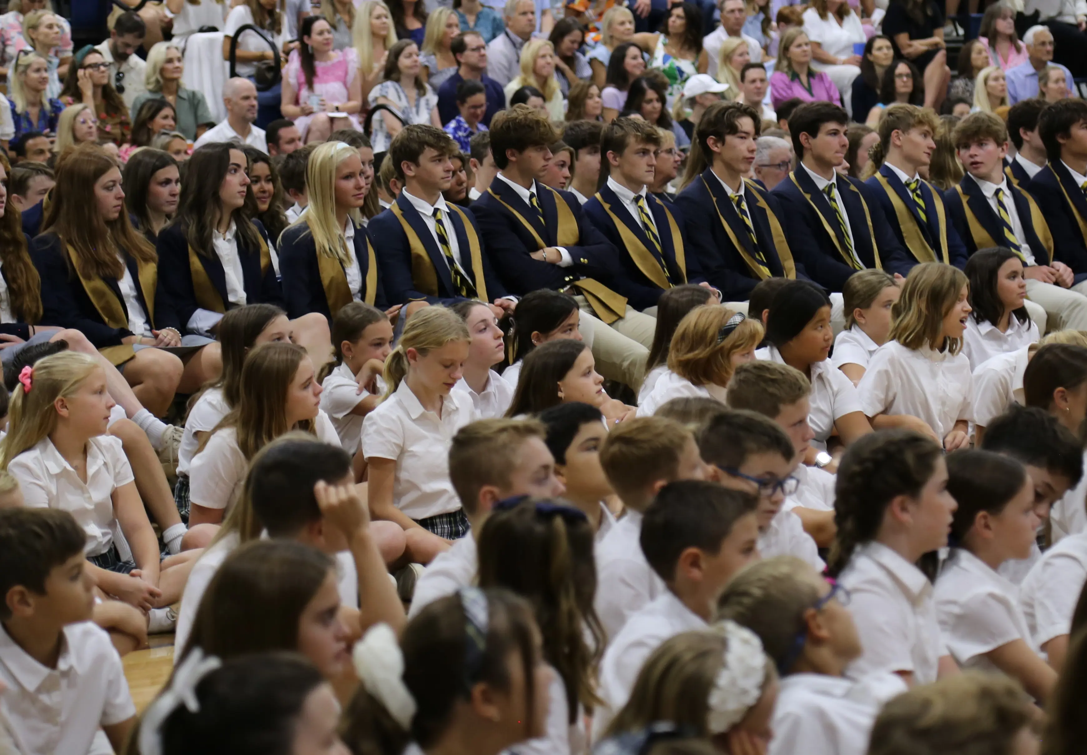 OptimizedImage,,,Optimized