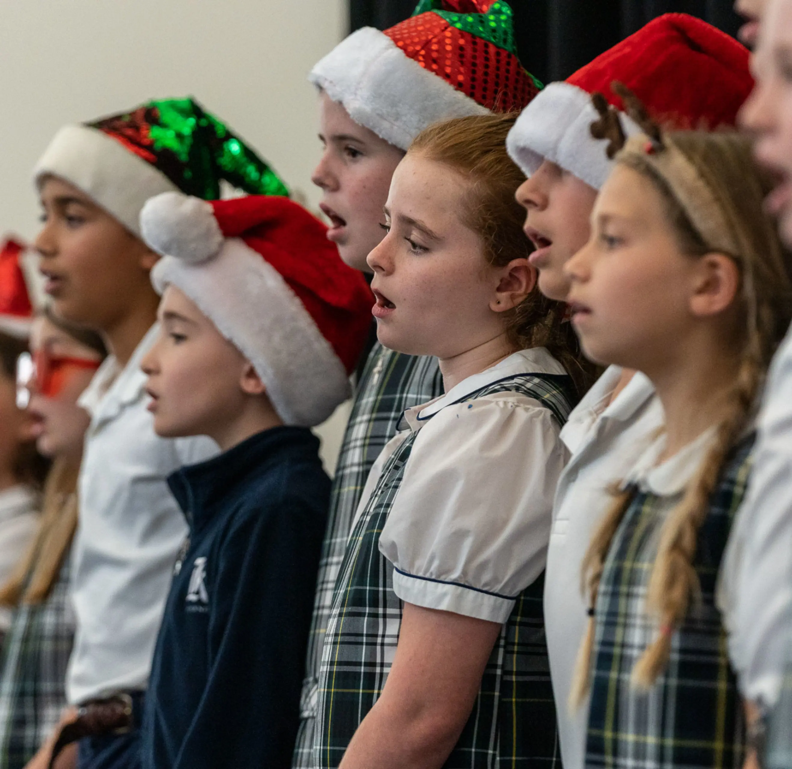  OptimizedImage,Optimized