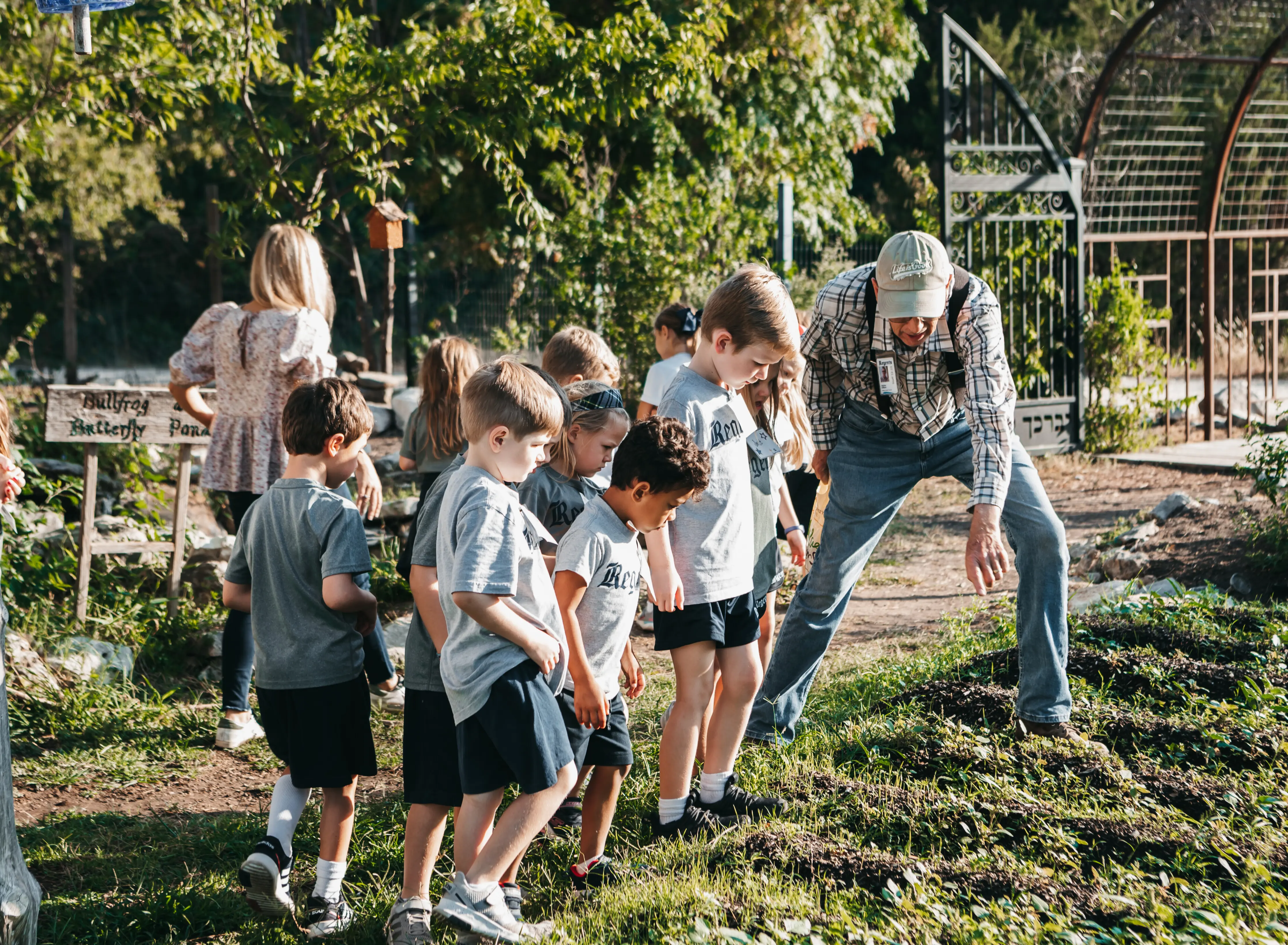  OptimizedImage,,,Optimized