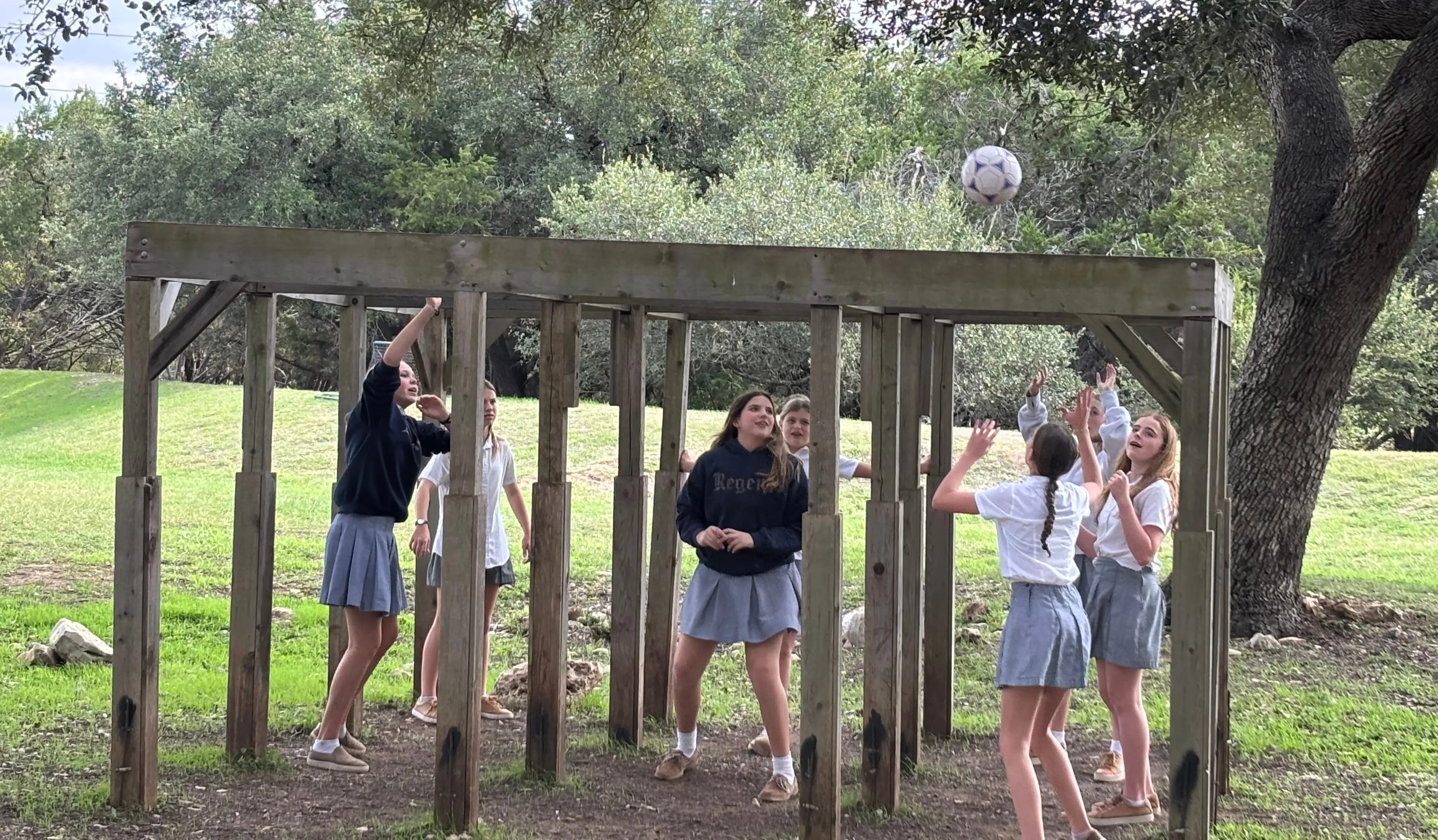 OptimizedImage,,,Optimized