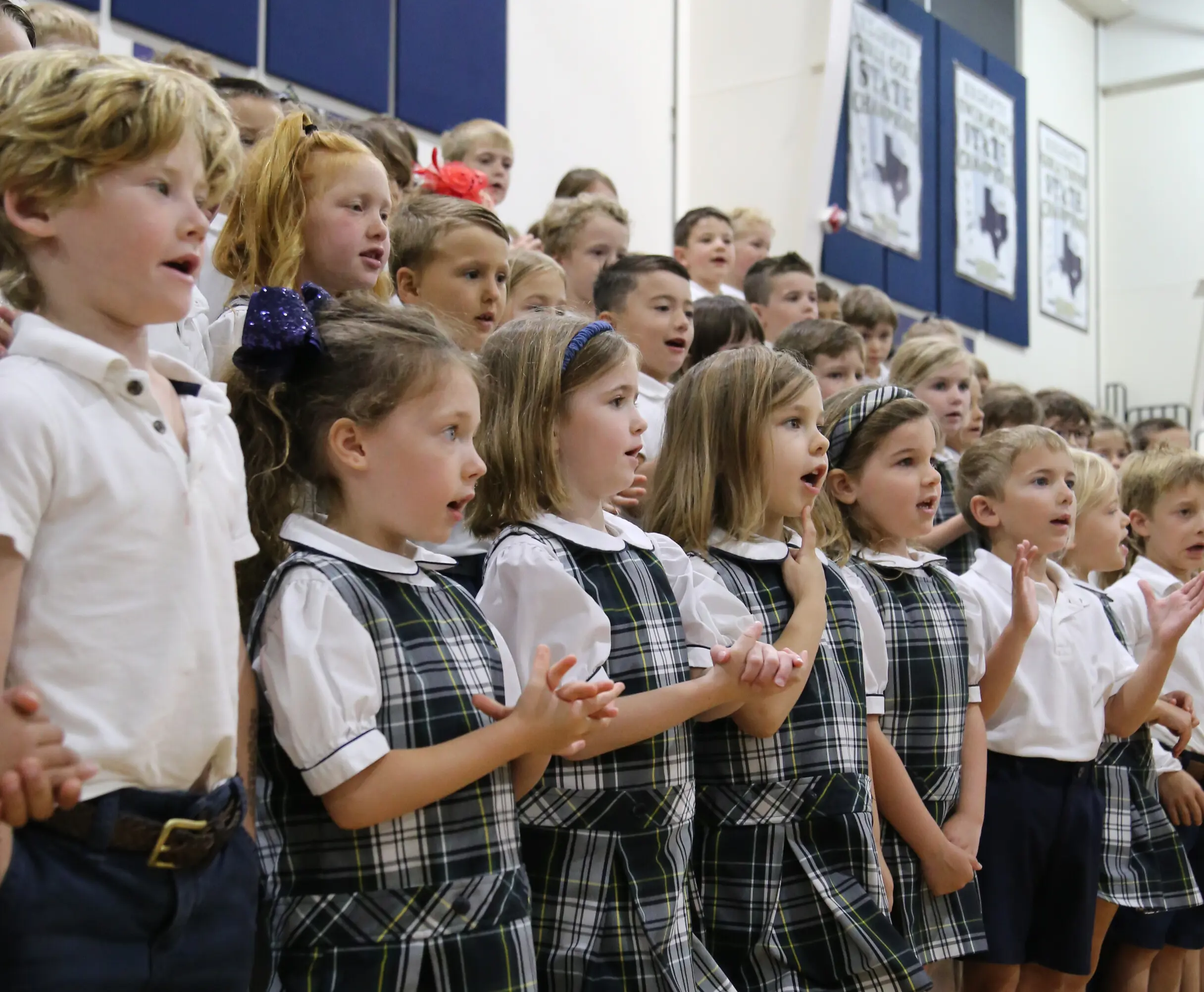  OptimizedImage,,,Optimized